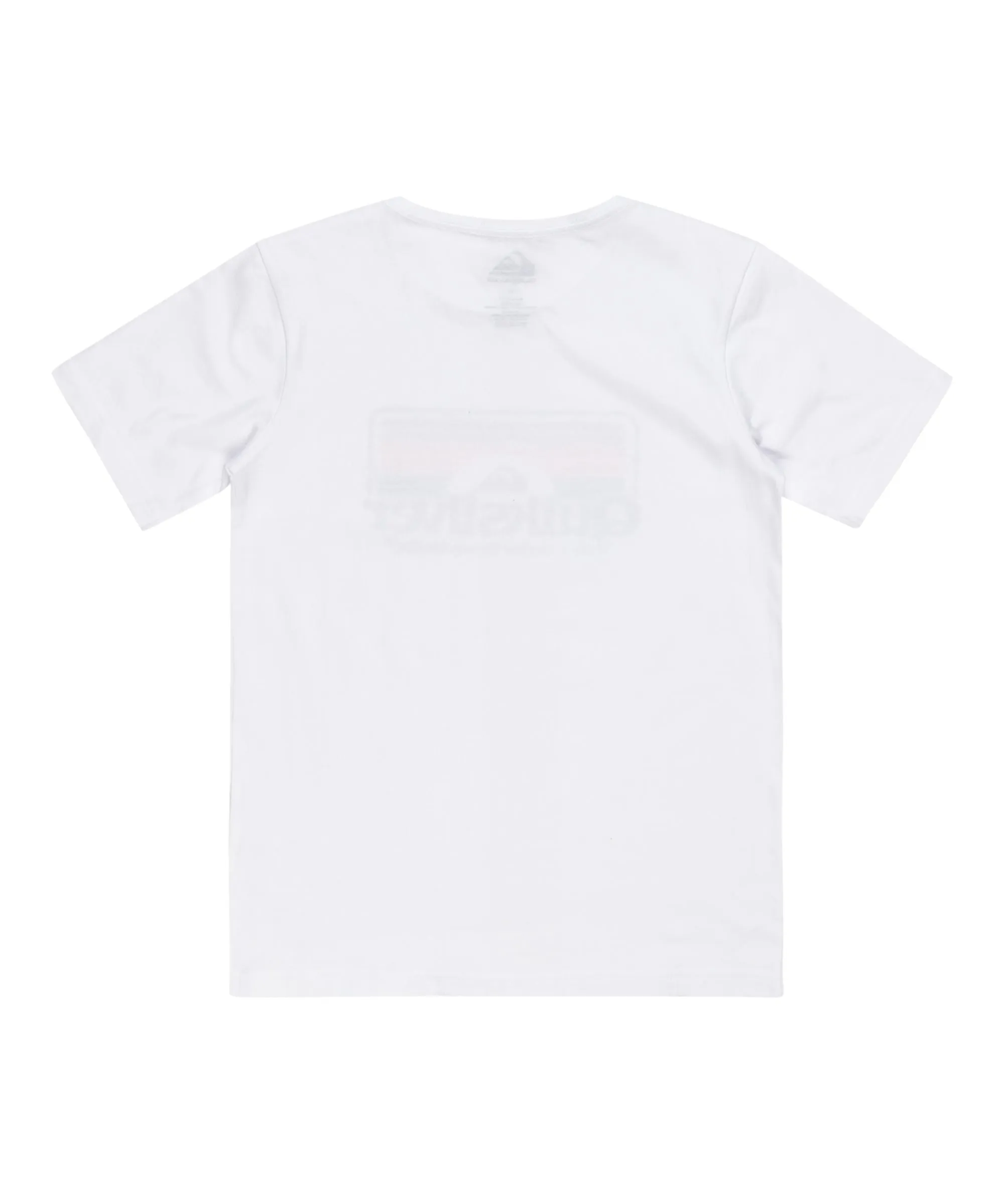 Quiksilver Kids Step Inside Short Sleeve T-Shirt